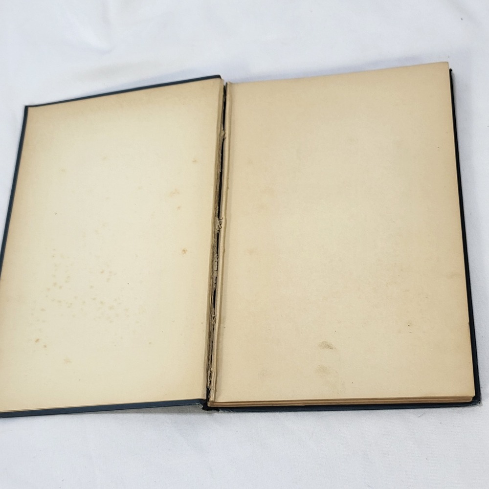 Probable Sons Amy Le Feuvre Antique 1900s Tract Society Victorian Hardcover - Picture 3 of 14